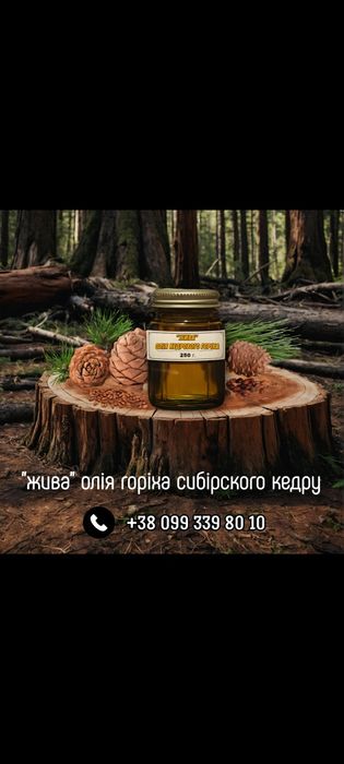 Масло кедровое,кедровое масло ,Олія Кедрова ,Кедрова Олія свіжа