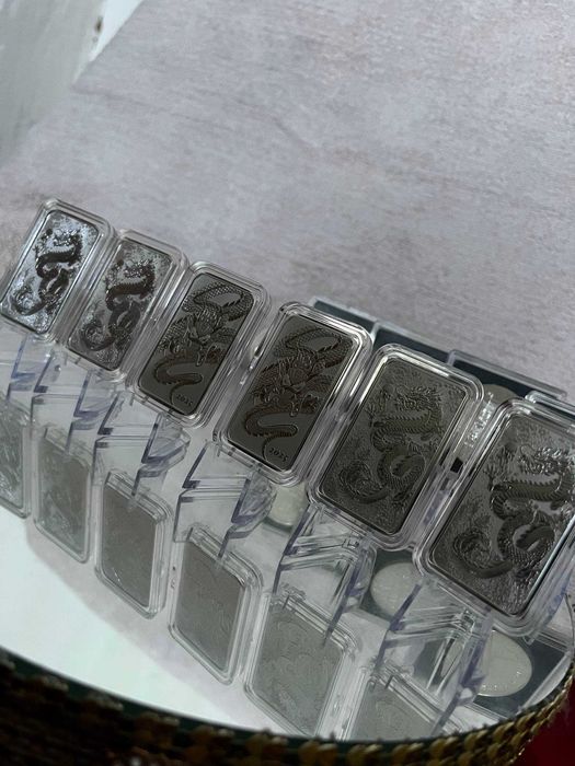 Австралійський дракон 2024-2025