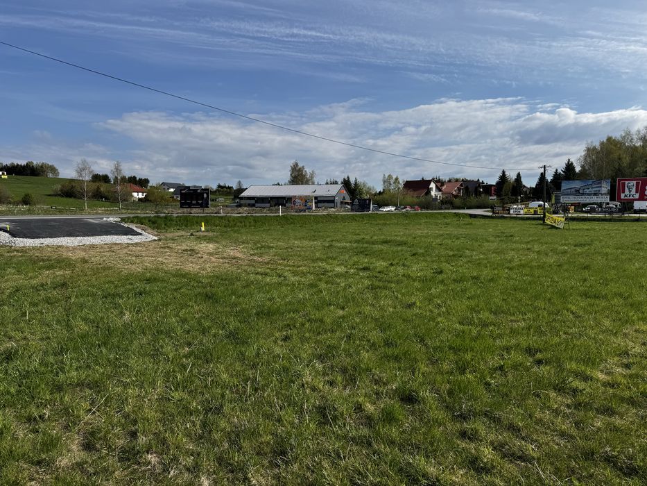 Zdjęcie 5