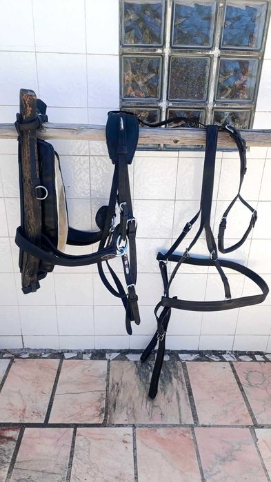 Arreio para cavalo