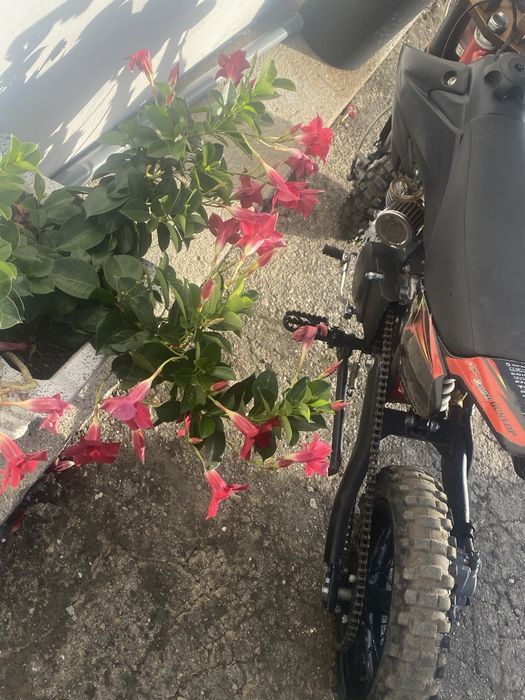 Pit bike 150cc em bom estado preco negociavel
