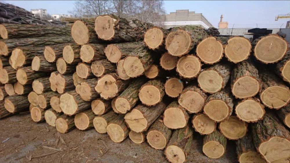 Дрова твердых пород дуб , акация, ясень, тополь чурки метровки.