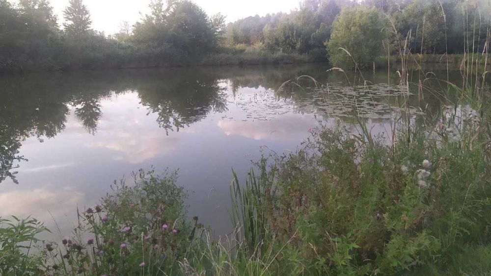 Wynajmę domek nad wodą
