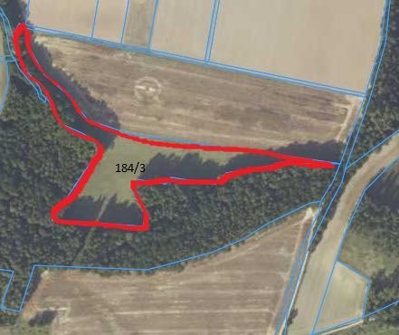 działka rolna ziemia  łąka pastwisko Skorzynice