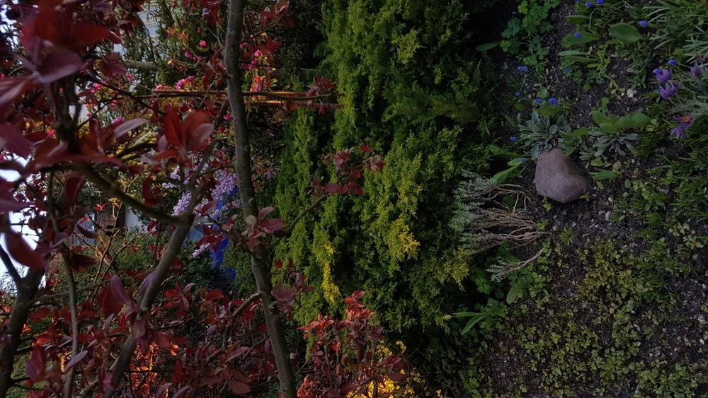 Projekt ogrodu przydomowego 1000m