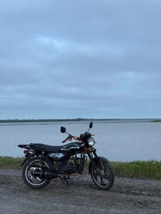альфа мустанг 125