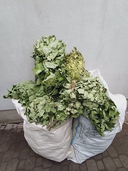 Продам Банні віникі