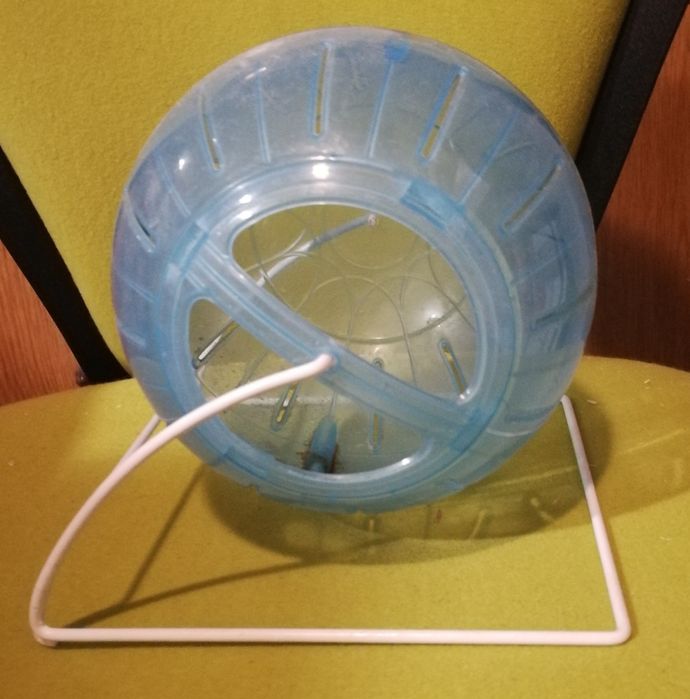 Akcesoria dla chomika