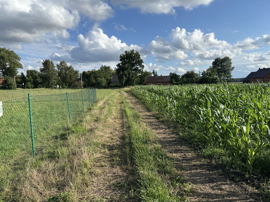 Działki budowlane na sprzedaż Świniary Borowna - View 4