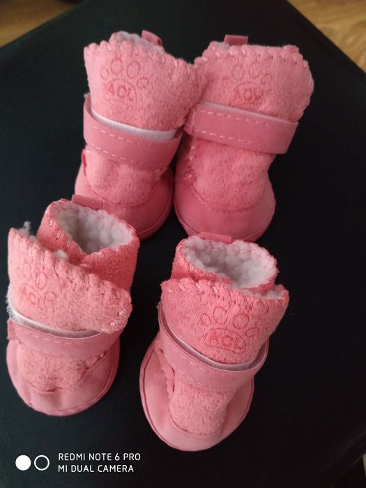 Обувь для маленькой собачки