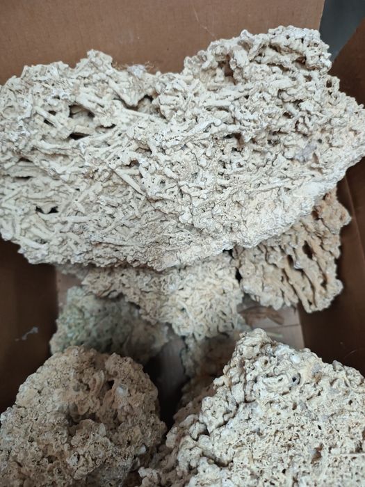 Kamień skala akwarium Malawi tanganika dekoracja