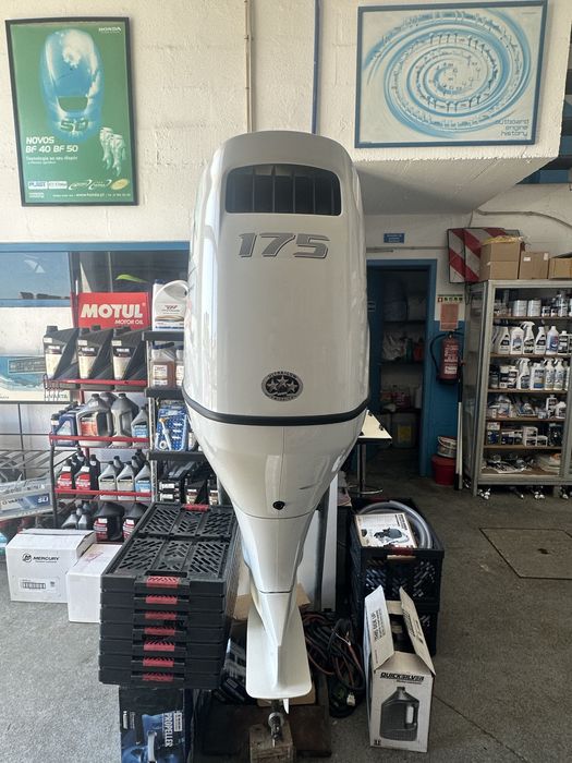 Suzuki 175hp semi novo