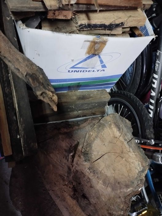 drzewo drewno pieńki  mega pilnie sprzedam