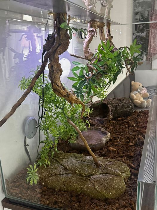 Terrarium 80x50x40 z wyposażeniem