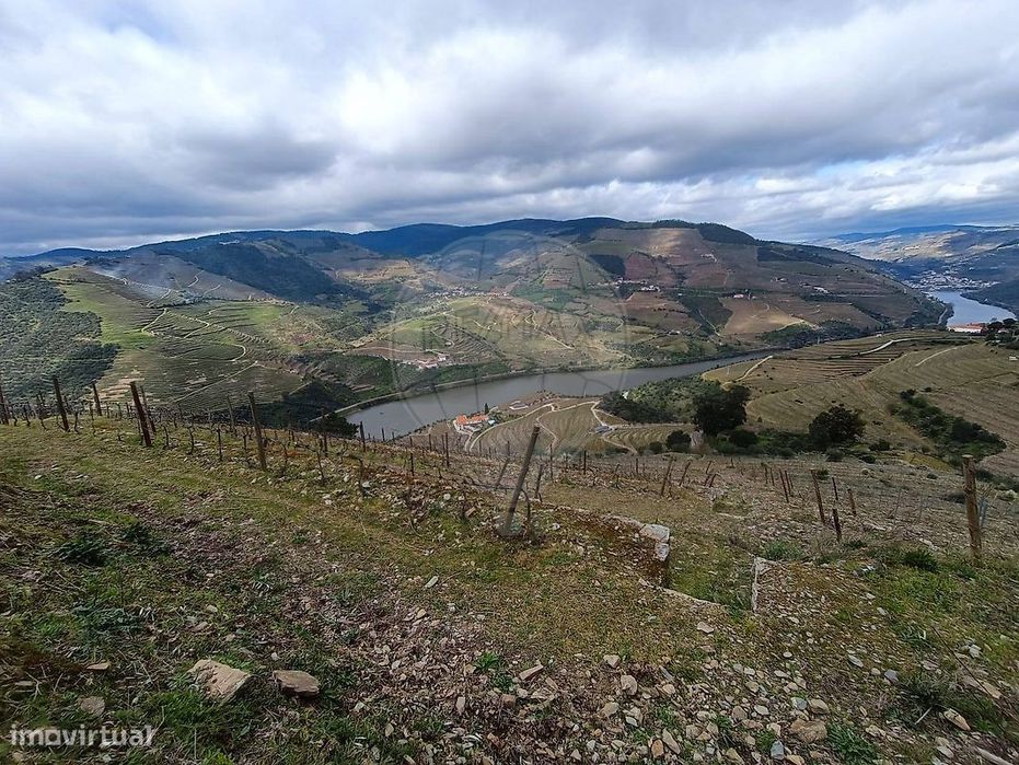 Terreno  para venda