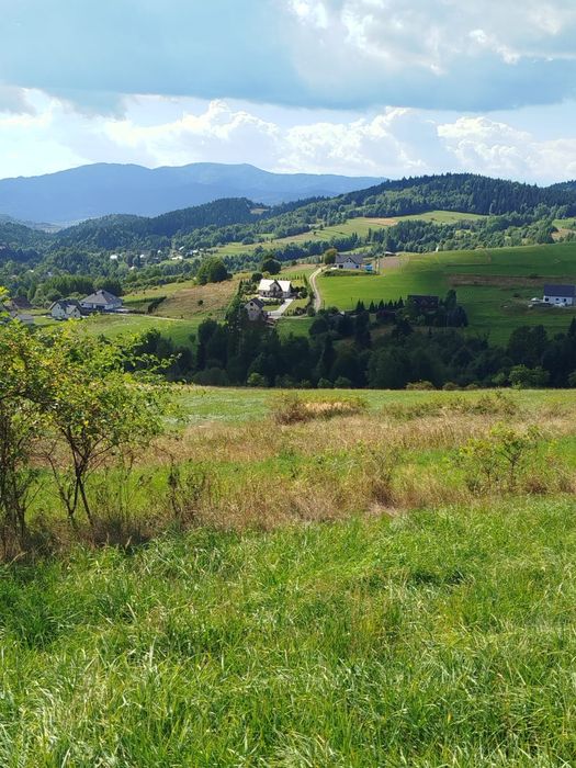 Zdjęcie 2