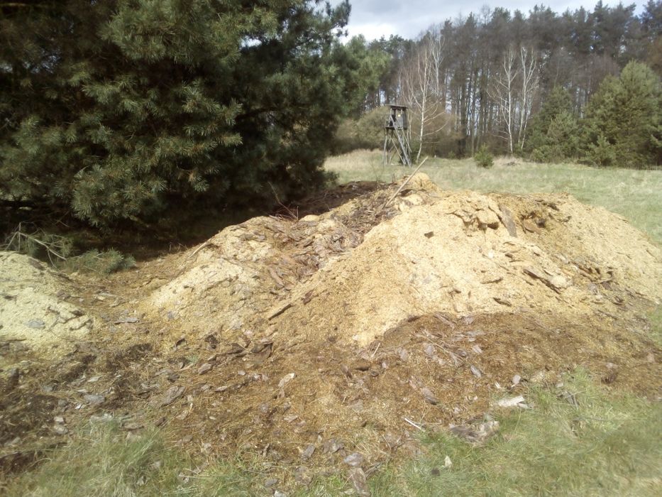 trociny do palenia za darmo