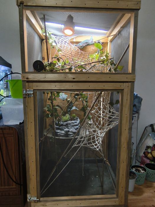 Terrarium dla kameleona z wyposażeniem
