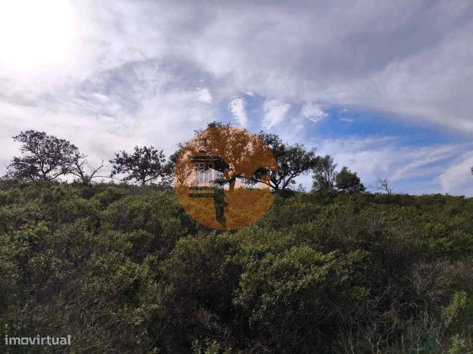 Terreno Com 55.480 M² - Com Possibilidade De Construção - Habitação...