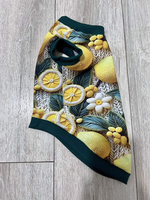 Одяг для котів Сфінксів