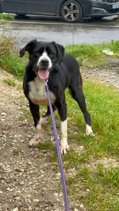 Sou especial sim, só para pessoas muito pacientes