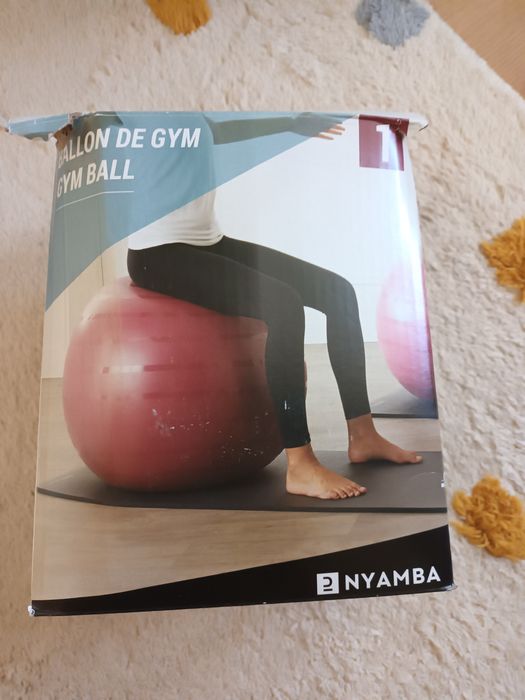 Bola de Ginástica e Pilates Tamanho 1 Resistente 55 cm Rosa