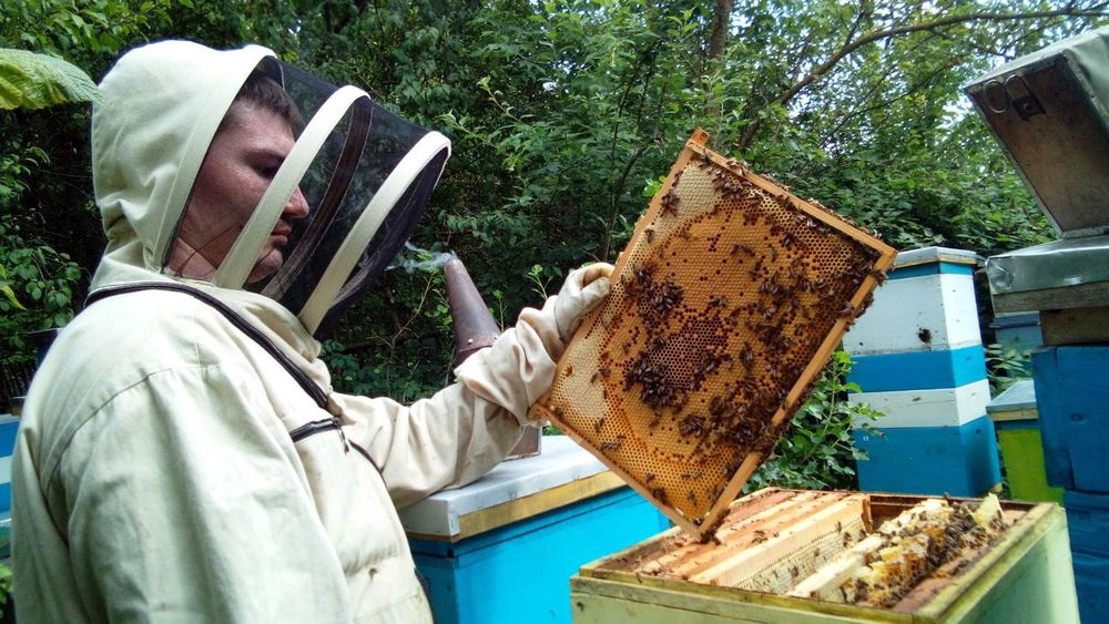 Продам смачний мед з Власної пасіки