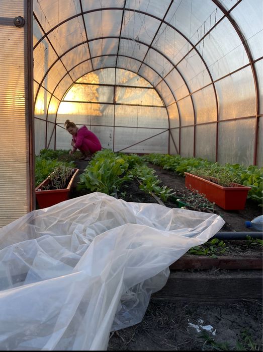 Продається будинок смт.Попільня