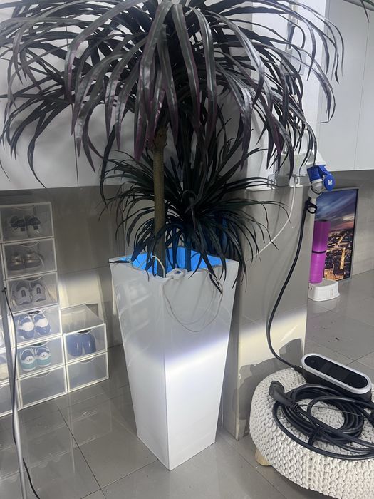 Vendo Vaso com iluminação