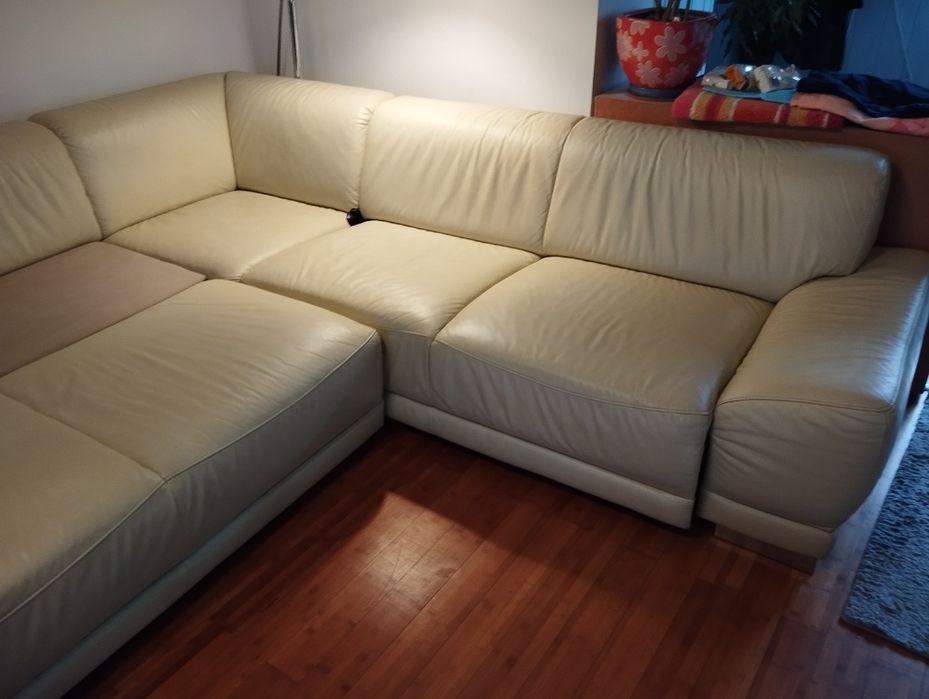 Duża rogówka że skory