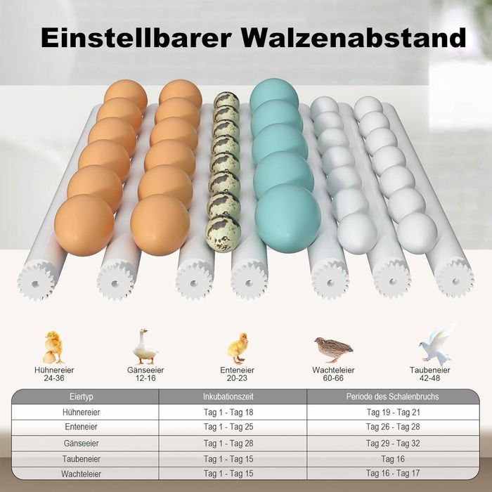 Інкубатора на 24-36 яєць CoInceptus з автомат перевертанням яєць