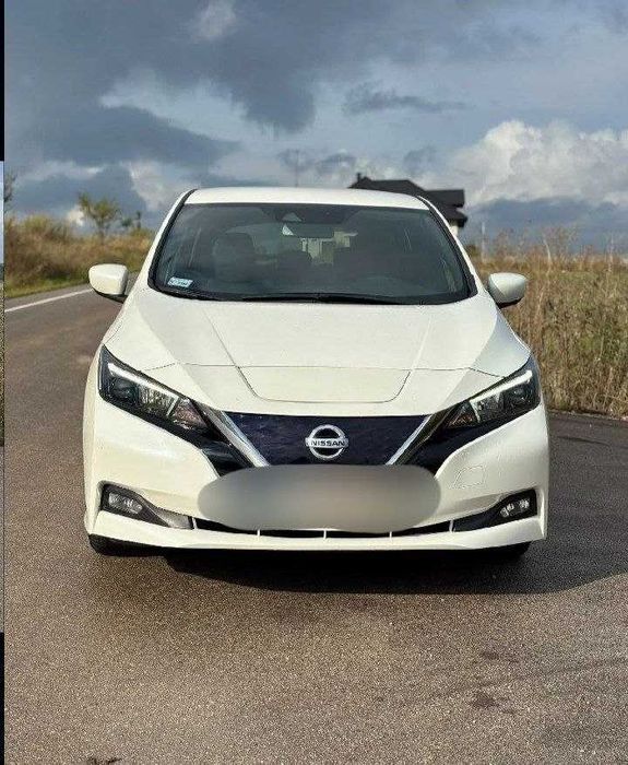 Nissan Leaf 2019