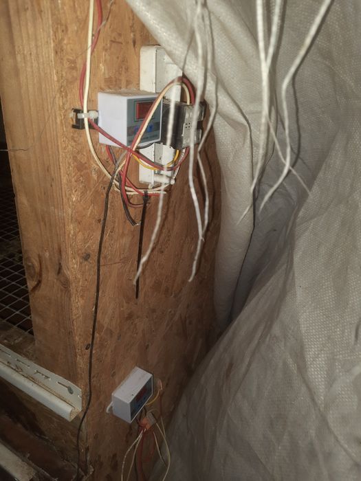 Брудер для птиці.