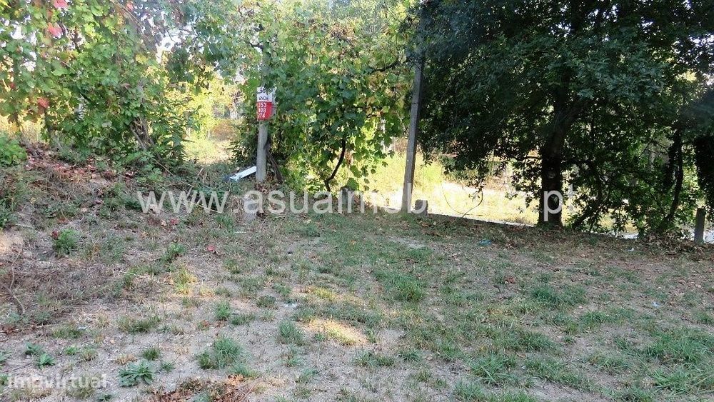 Agricultural Land - Goães