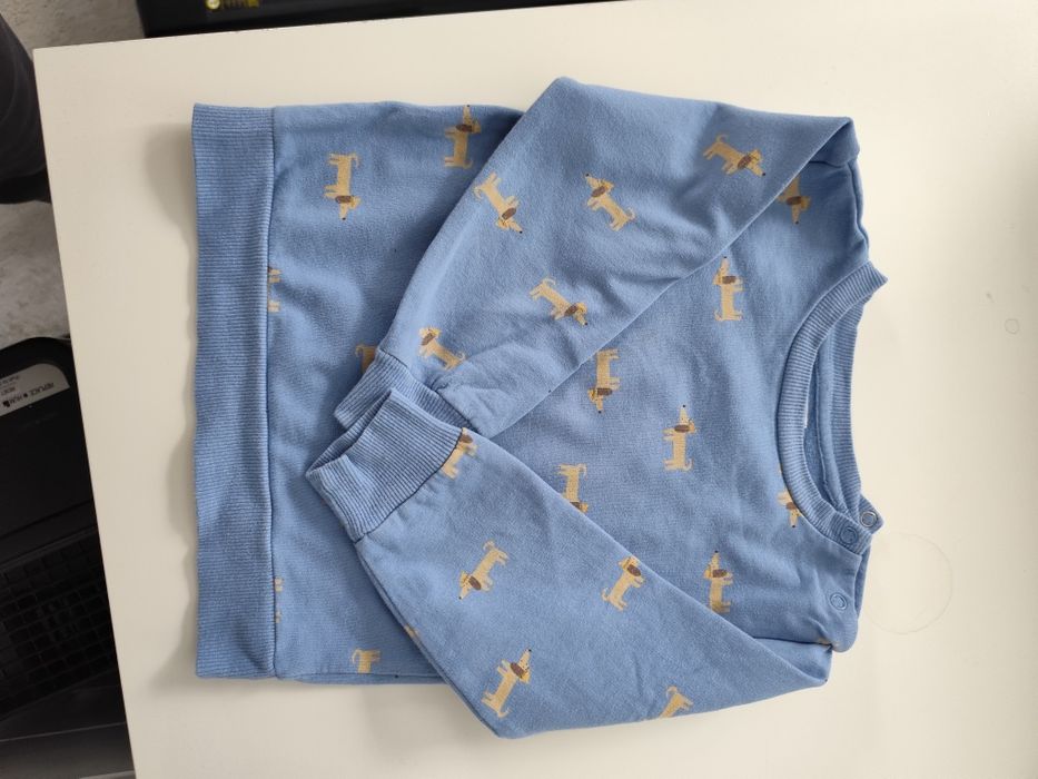 Bluza Sinsay rozm 98, błękitna z pieskami