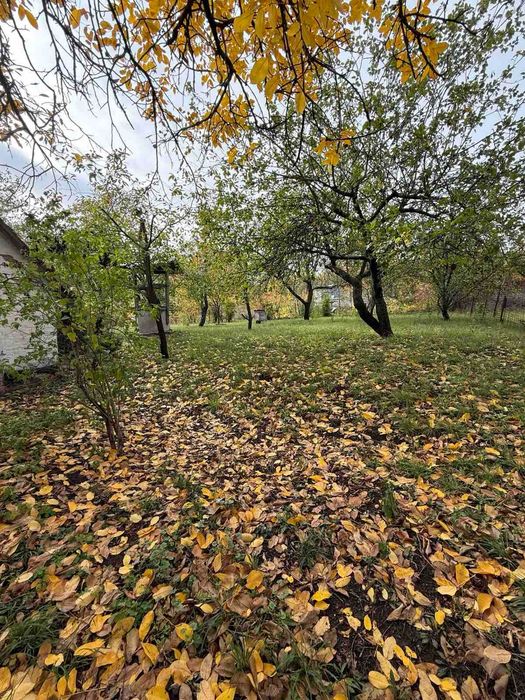 ПРОДАЖ! Будинок з ділянкою, центр с. Сем'янівка