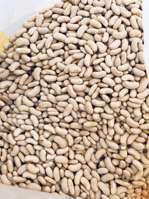 фасоля Борлотто пишіть