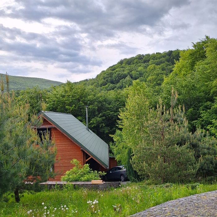 Аренда  єко-дом с Синяк Закарпатська обл