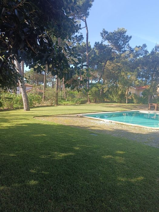 Jardineiro particular para cuidar do seu espaço