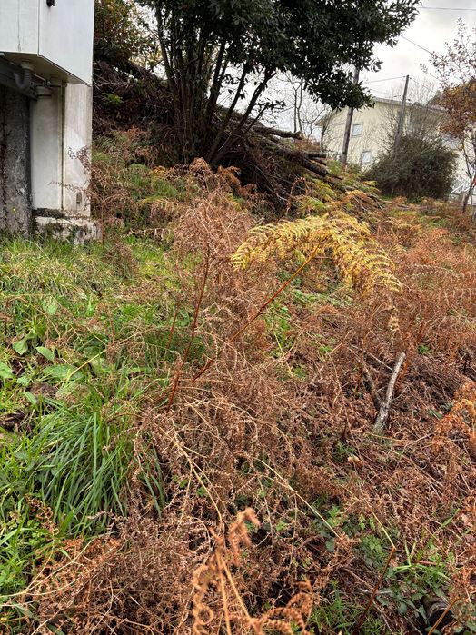 Terreno urbanizável  em Rio Frio