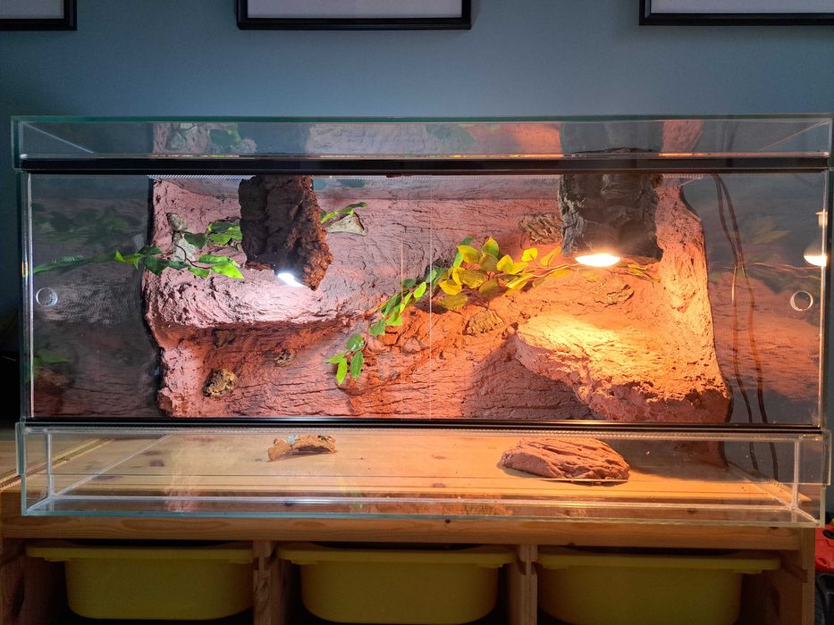 Terrarium dla gada