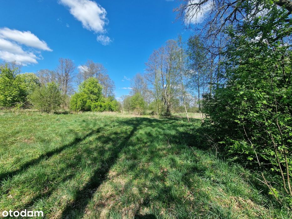 Działka rolna 4600 m² (okolica letniskowa) Sekłak blisko rzeki Liwiec