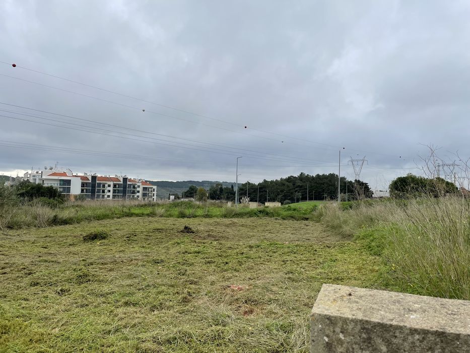 Limpeza de terrenos e corte de arvores e entre outras