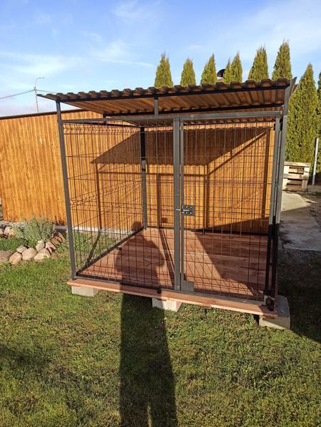 -KOJEC-4x3-dla psa, na każdy wymiar.