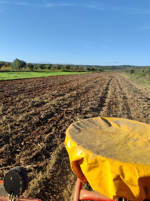 Faço todo o trabalho relacionado com palha