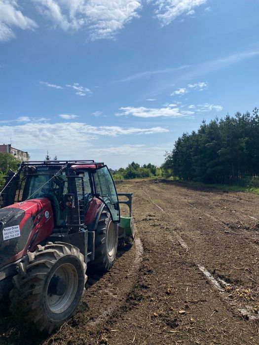 Usługi Mulczerem leśnym (karczowanie, oczyszczanie) Wycinka drzew.