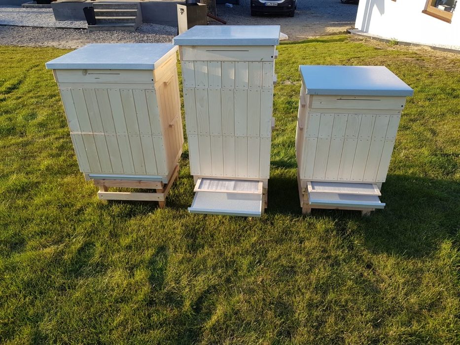 Ule wielkopolskie 10 ramkowe