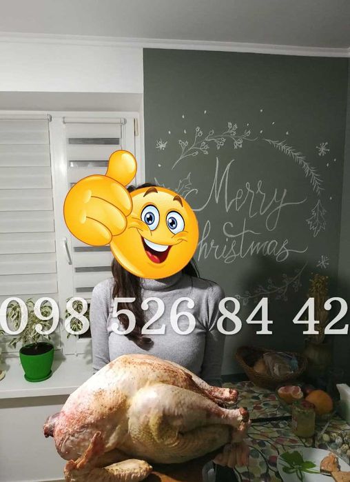 Курчата, несучки, бройлери, Індики Біг 6