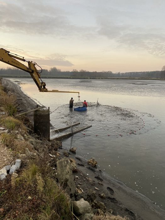 Karp amur lin tołpyga kroczek 2026