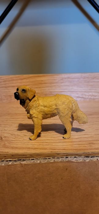 Procon collecta pies Golden retriver figurka model wycofany